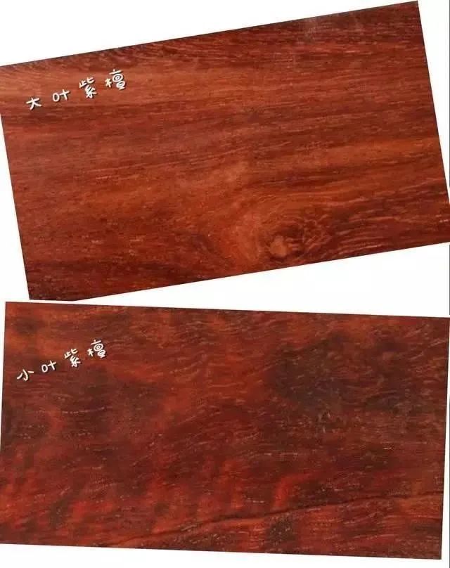 一:大叶紫檀