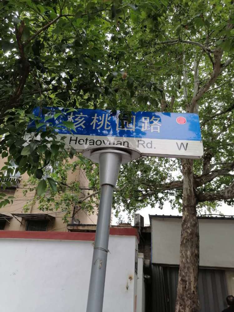 济宁核桃园:除了美食,还有让人动心的地方
