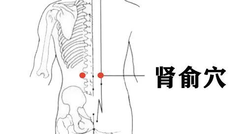 太溪穴定位:位于足内侧,内踝后方与脚跟骨筋腱之间的凹陷处.