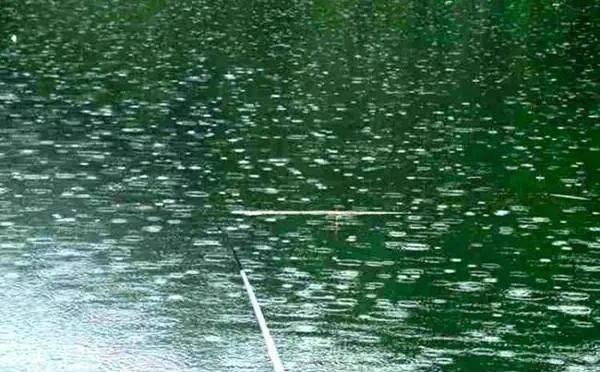 钓鱼技巧夏季宜钓刮风下雨天有哪些应对技巧