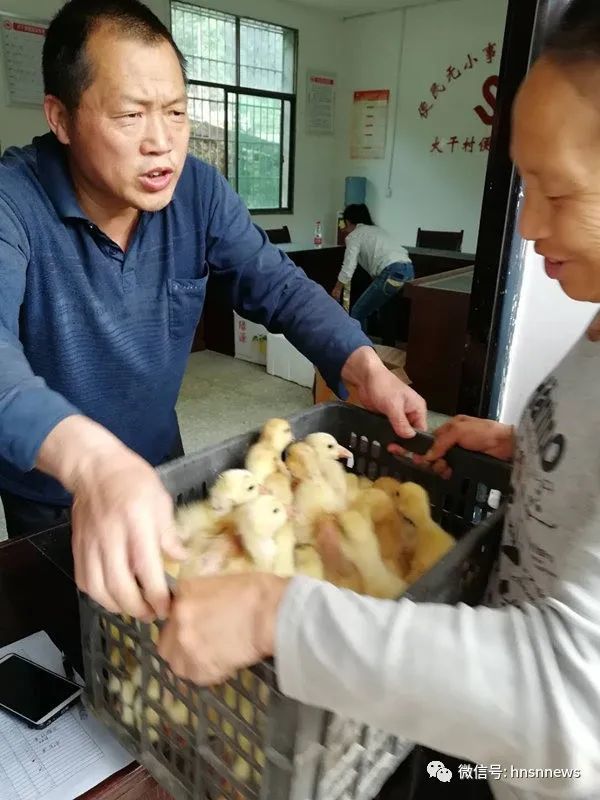 绥宁人口数_绥宁木房图片