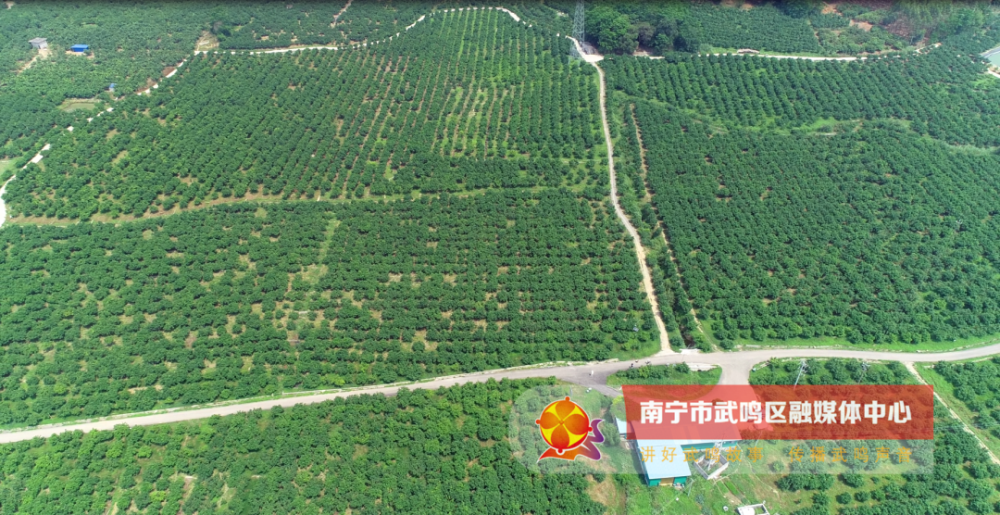 罗波镇人口_罗波镇板欧村(2)