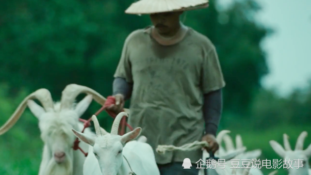 在李维杰寺庙布施出现,代表着纯洁善良电影中羊出现了不下四次,而在