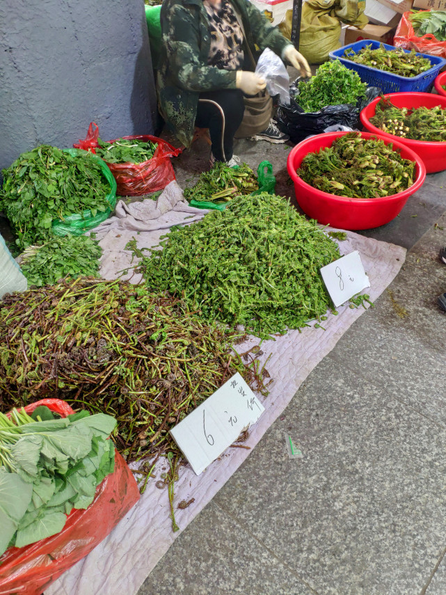 疫情下的水上市场,戴口罩的市民,遍地的山野菜,3斤20元?