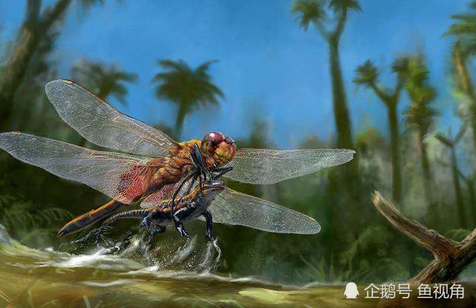 史前恐怖"巨虫时代:蜻蜓比鸟大,蝎子近1米"蜈蚣"2米多!