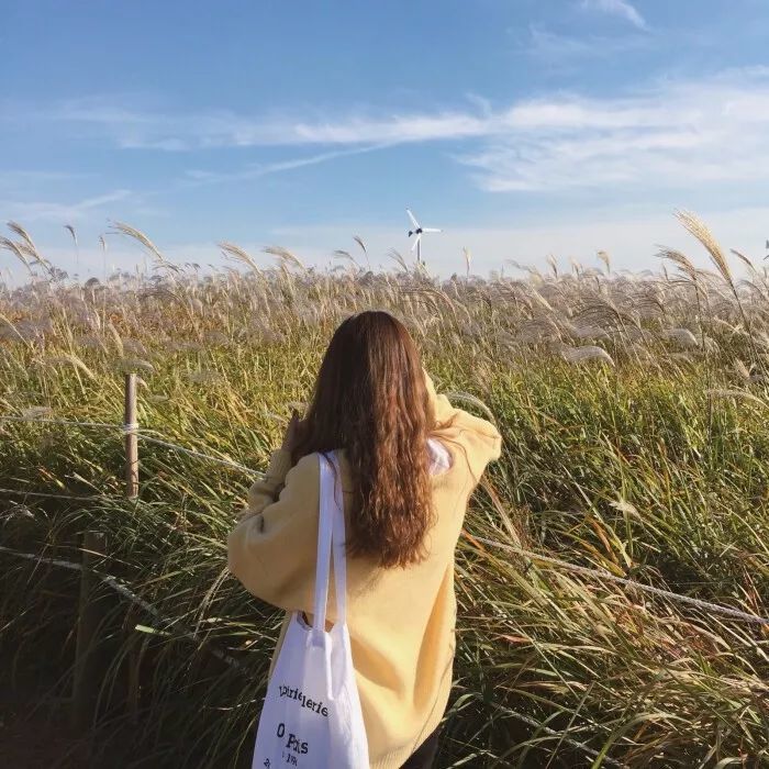 女生头像小清新漂亮的微信女生背影头像非常高级感