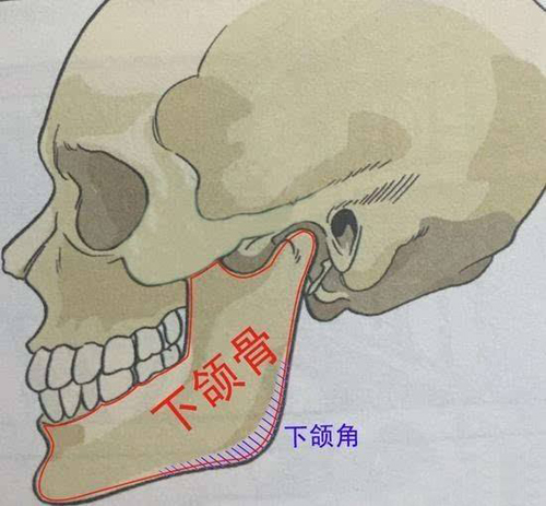 韩啸青枝折痕术—下颌角手术需要去除咬肌吗?