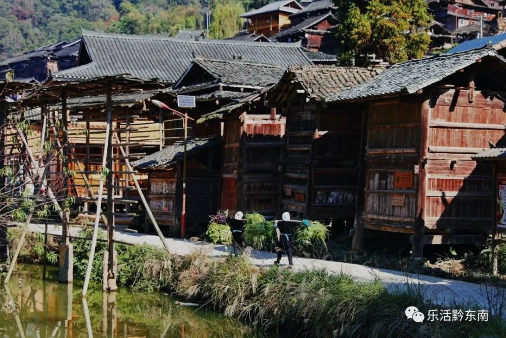 从江县有多少人口_从江县地图