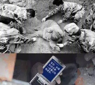 当初陪我经历了汶川地震的猫,回喵星了
