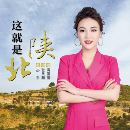 这就是陕北作词:张灵茹作曲:少东演唱:闫丽丽混录:高lao推广:黄土风情