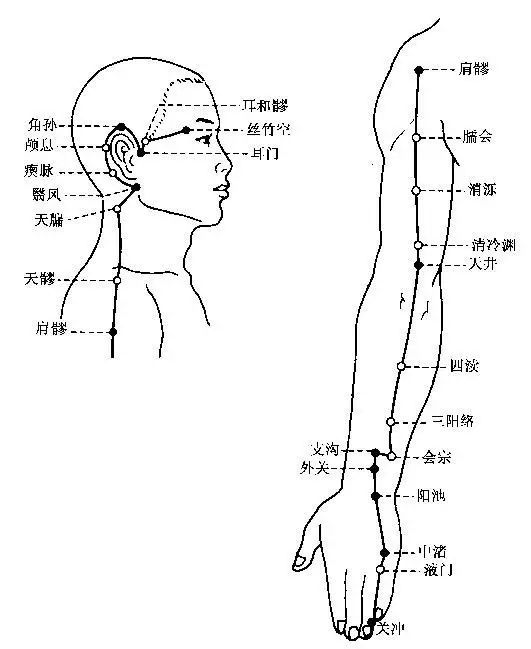 素晴らしい 三味線 スス竹駒 半骨 2穴 olvacompras.com