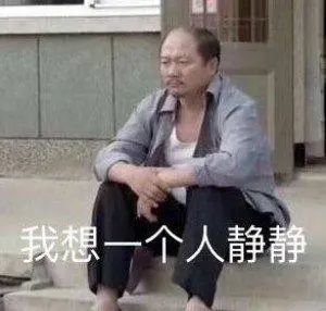 我想一个人静静.