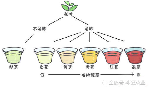 不同的制作方法和发酵过程,茶叶研究专家将我国所产的茶叶分为六大类