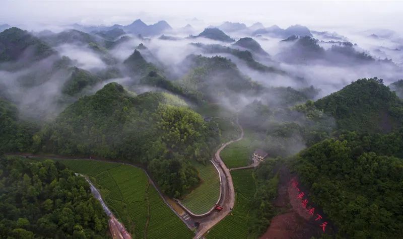 如今,当你站在高华山顶峰俯瞰,整个辰龙关景区酷似一个巨大盆景.