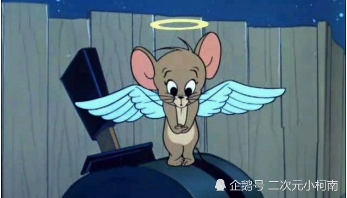 《猫和老鼠》你只知道汤姆杰瑞?每个角色都有名字,几乎没人记得