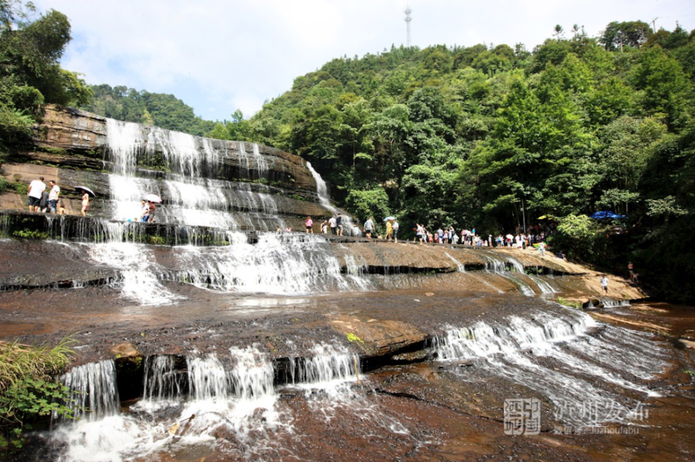 黄荆老林景区 来源:四川日报