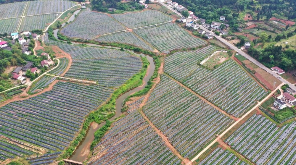 南充市嘉陵区人口_南充市嘉陵区医院