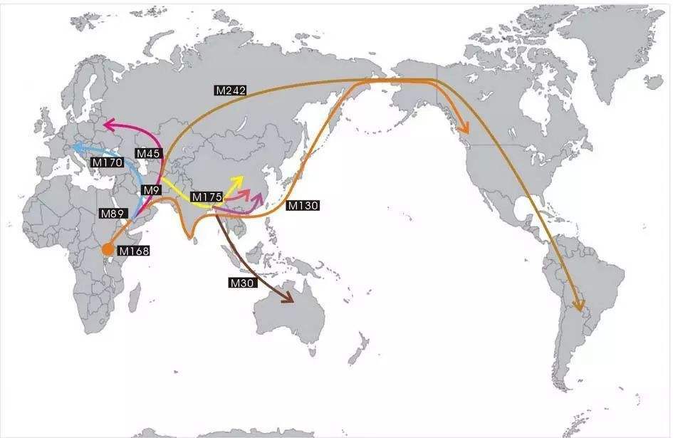 人类是如何从非洲走遍全世界的,智人是如何从亚洲迁徙到美洲的?