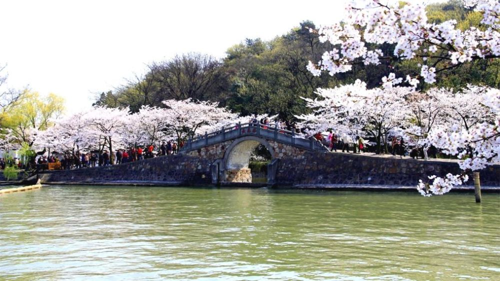 GDP被宁波反超_宁波大学(3)
