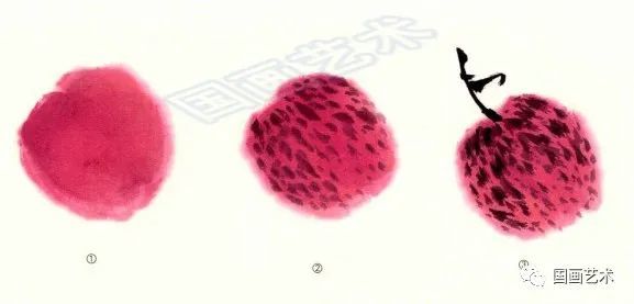 图文教程:写意荔枝画法示范七例