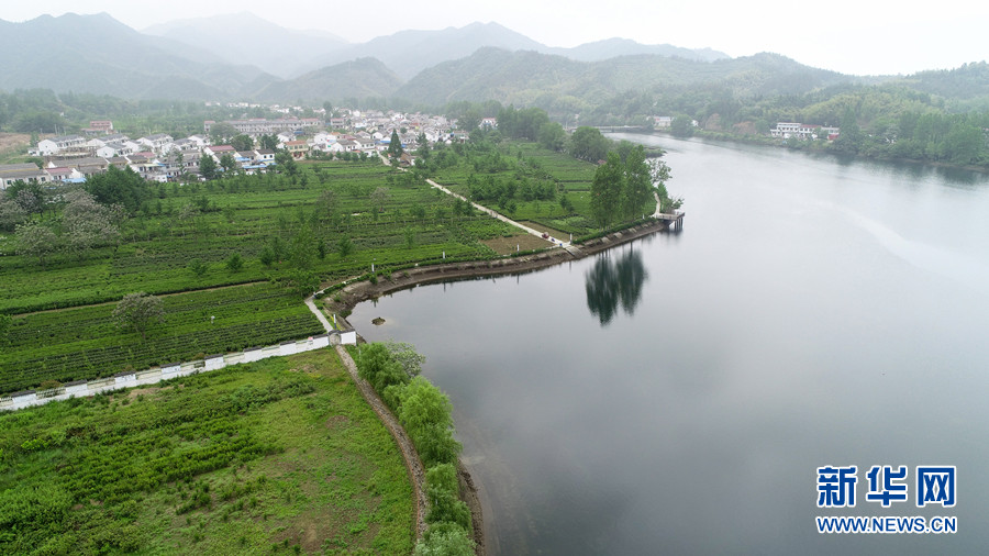 航拍六安瓜片原产地核心区:绿水青山尽开颜