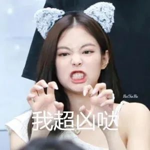 blackpink四闺女表情包超级,给力