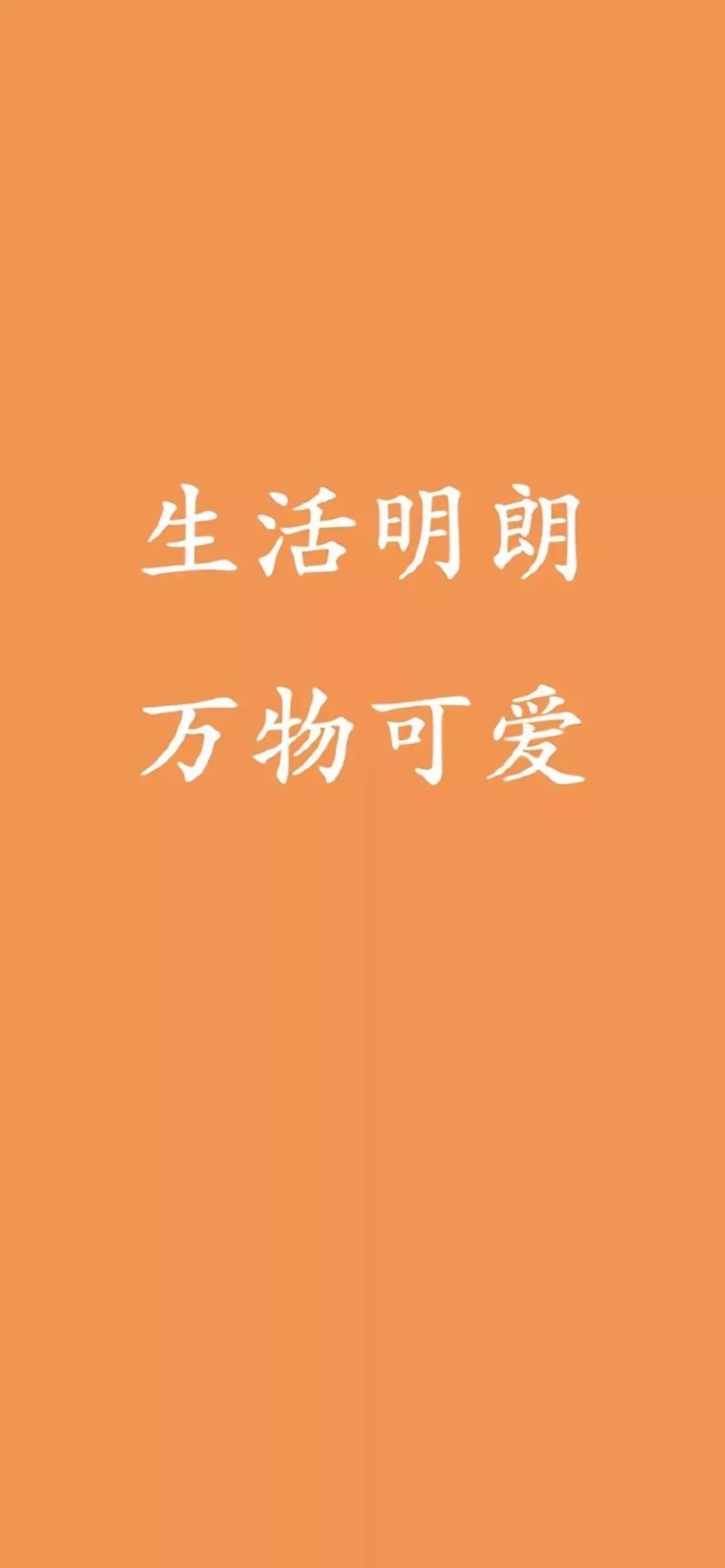 黄色系壁纸丨生活明朗 万物可爱