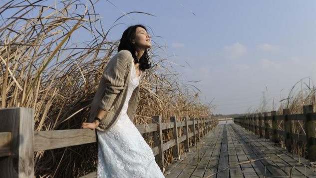 我终于选定了杭州湾湿地公园,电影搜索的取景地,杨守诚和叶蓝秋爱情
