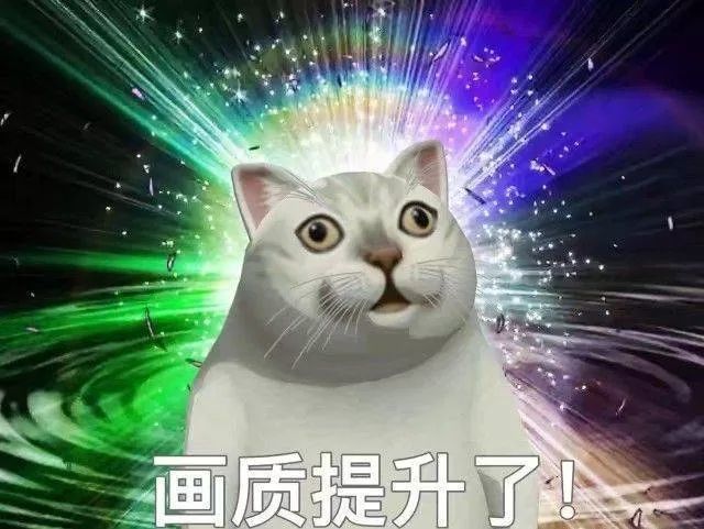 憨憨猫沙雕表情包专业水平上升了