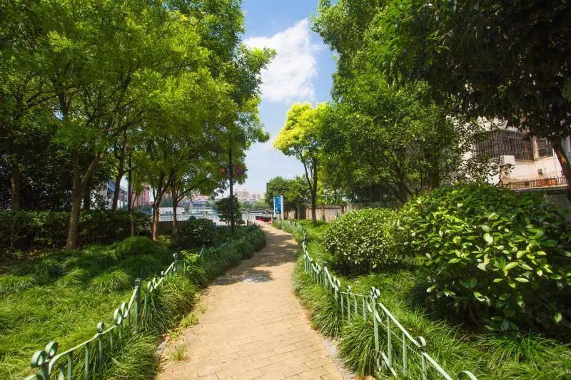 西渡江边公园——奉贤浦江岸线上的一道新风景