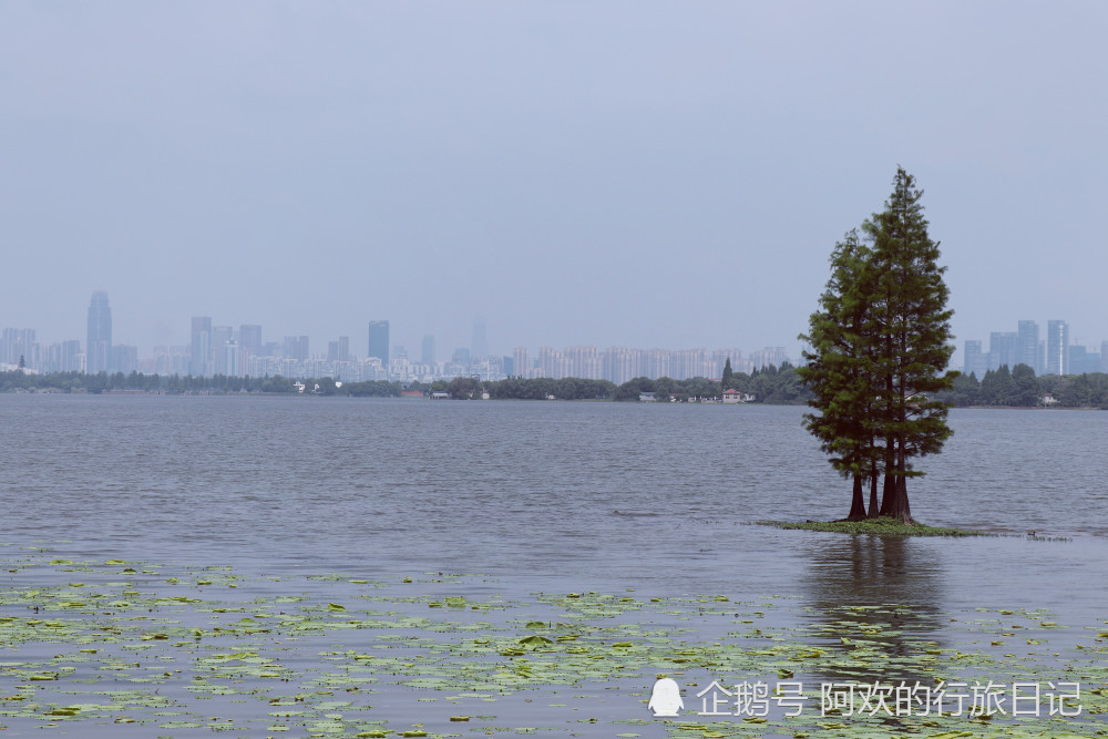 东湖落雁岛