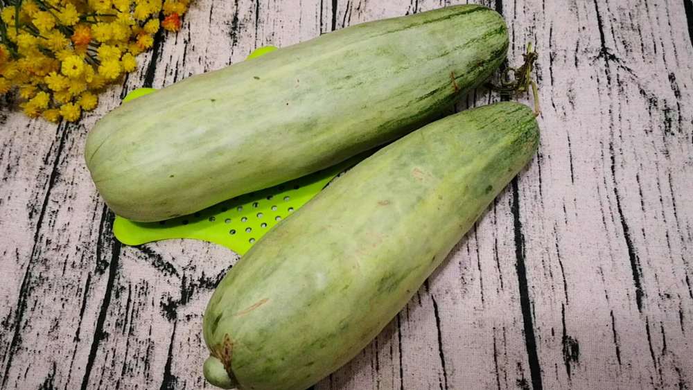同是羊角蜜,瓜脐大还是小的好?老果农透漏秘诀,香甜爽脆还好吃
