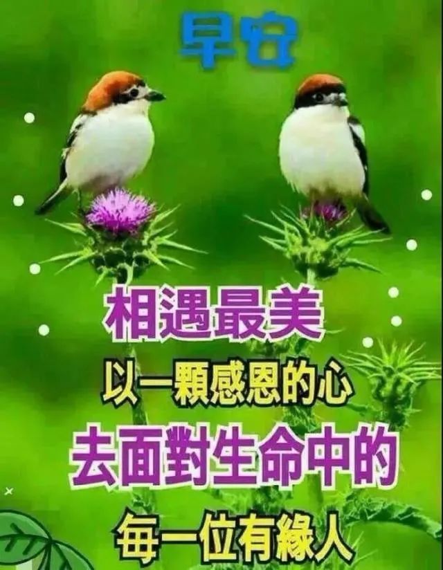2020早安问候语早上好表情图片 清晨暖心问候语及关心