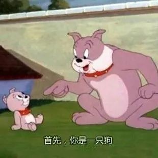 猫和老鼠表情包,又是哪只猪来看我朋友圈