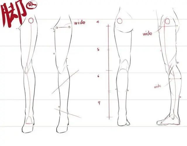 【腿部绘画素材】腿可不能再画成两根竹竿了