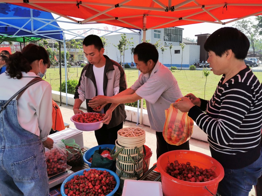 清风湖美景,品大樱桃,农家菜,住古色古香精品民宿已经成为当下义马