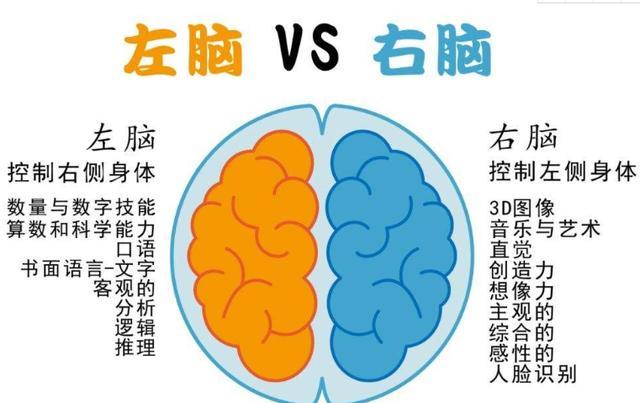 哈佛研究:大脑发育的高峰期只有三次,家长务必为孩子