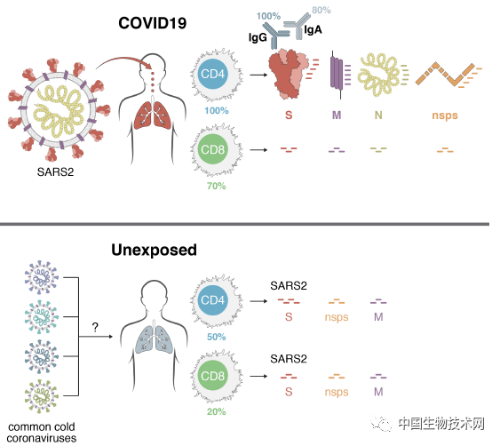 ͹״Ⱦ֢״_͹״Ⱦ_hpvȾǻв?