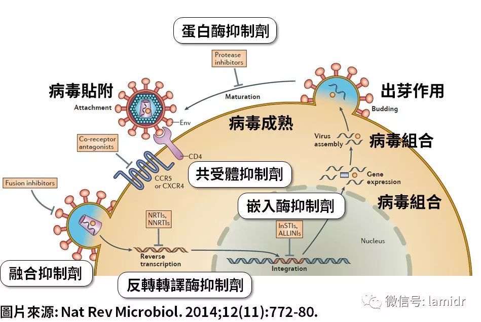 抗hiv病毒治疗,为何会频发耐药?