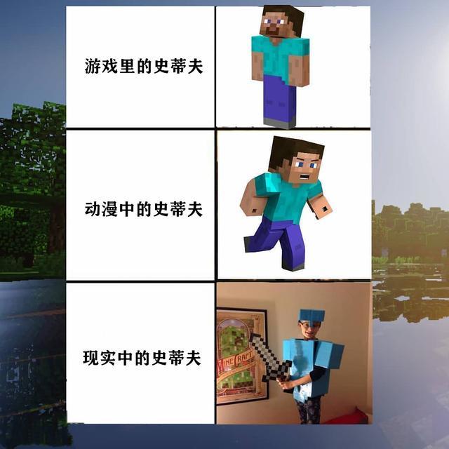 mc梗图系列:13张来自网络的图,老mc不正经起来,着实让