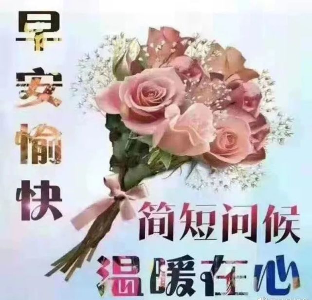 5月16日最新版早安问候语早上好美图,清新漂亮的问候