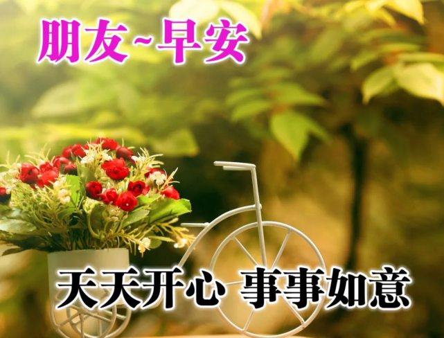 周六最新最美早晨好问候祝福语图片早安问候祝福语短信