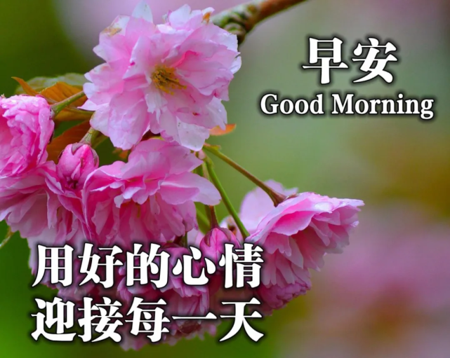 期待下一次的旅行,带着好心情,一起共赴美好之约!