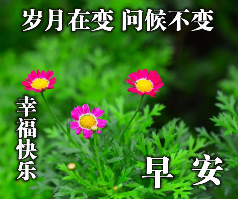 周六最新最美早晨好问候祝福语图片 早安问候祝福语