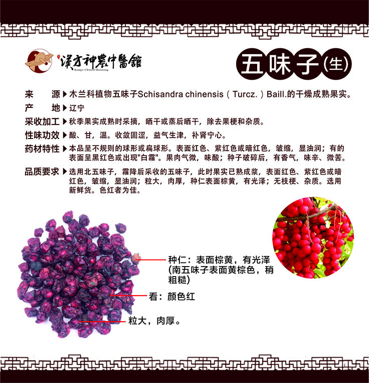 株洲中药:五味子