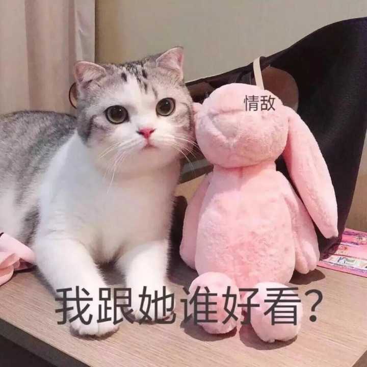 套路对象的甜甜表情包快保存下来吧!