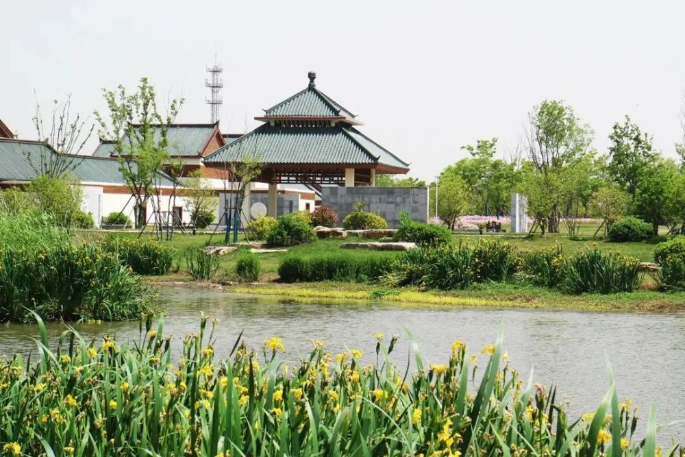 金湖尧想国:五月未央,花开嫣然