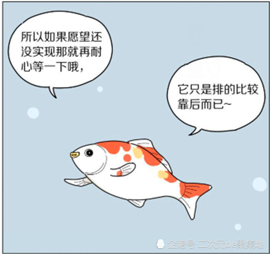 爆笑漫画:人们都说鱼只有七秒钟的记忆,可这条鱼记忆力却很强