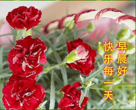 周末早上好动态图片带字 早安问候语简短2020