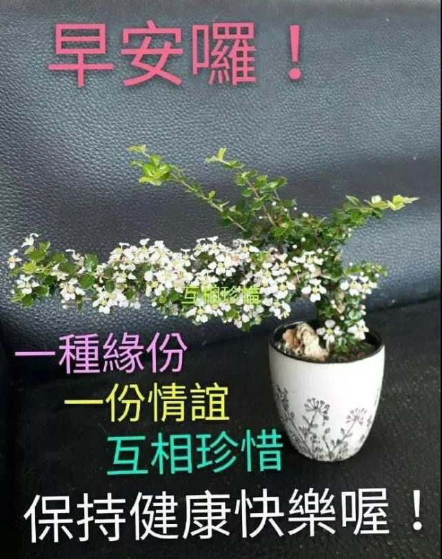 08月23日 早上好!清晨早安,许下一个愿望,希望大家的